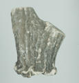 Deglued Deerhorn Powder (specimen)