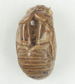 Cicada Slough (specimen)