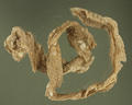 Snake Slough (specimen)