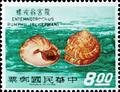 Special 75 Taiwan Shells Postage Stamps (1970) (特75.4)