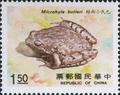 Special 258 Rare Animal - Amphibian - Postage Stamps (1988) (特258.1)