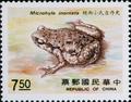 Special 258 Rare Animal - Amphibian - Postage Stamps (1988) (特258.3)