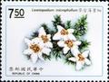 Special 290 Taiwan Plants Postage Stamps (1991) (特290.7)