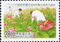 Commemorative 256 100th Anniversary of Taiwan Agricultural Research Institute Commemorative Issue (紀256.2)