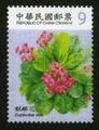 Def.129 Flowers Postage Stamp (IV) (常129.14)
