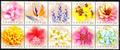 Def.137 Personal Greeting Stamps – The Language of Flowers (Continued) (常137.1-10)