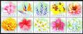 Def.137 Personal Greeting Stamps – The Language of Flowers (Continued) (常137.11-20)