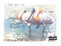 Sp.471 Conservation of Birds Postage Stamps – Black-faced Spoonbill (特471.2)