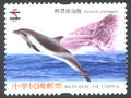 Sp.494 Cetacean Postage Stamps (Issue of 2006) (特494.1)