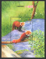 Sp. 501 Cute Animal Series Postage Stamps-Lesser Panda (特501.5)