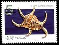 Sp.521 Seashells of Taiwan Postage Stamps (II) (特521.2)