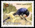 Sp. 522 Conservation of Birds Postage Stamps — Taiwan Blue Magpie (特522.1)