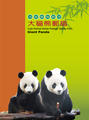 Sp.528 Cute Animal Series Postage Stamps – Giant Panda (特528.)