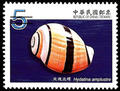 Sp.529 Seashells of Taiwan Postage Stamps (III) (特529.2)