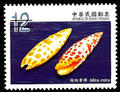 Sp.529 Seashells of Taiwan Postage Stamps (III) (特529.4)