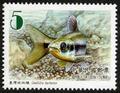 Sp.557 Fishes of Taiwan Postage Stamps (I) (特557.1)