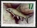 Sp.557 Fishes of Taiwan Postage Stamps (I) (特557.3)