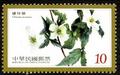 Sp.559 Alpine Flowers Postage Stamps (特559.3)