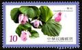 Sp.559 Alpine Flowers Postage Stamps (特559.4)