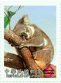 Cute Animal Series Postage Stamps—Koala Bear (特441.3)